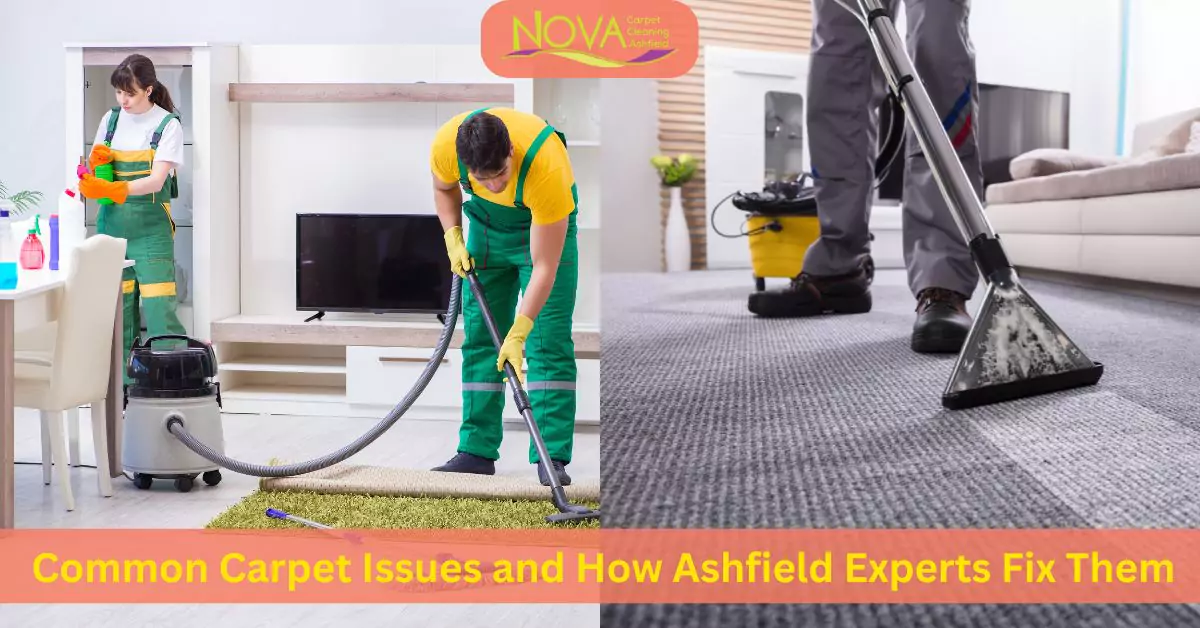 Carpet Cleaning Ashfield